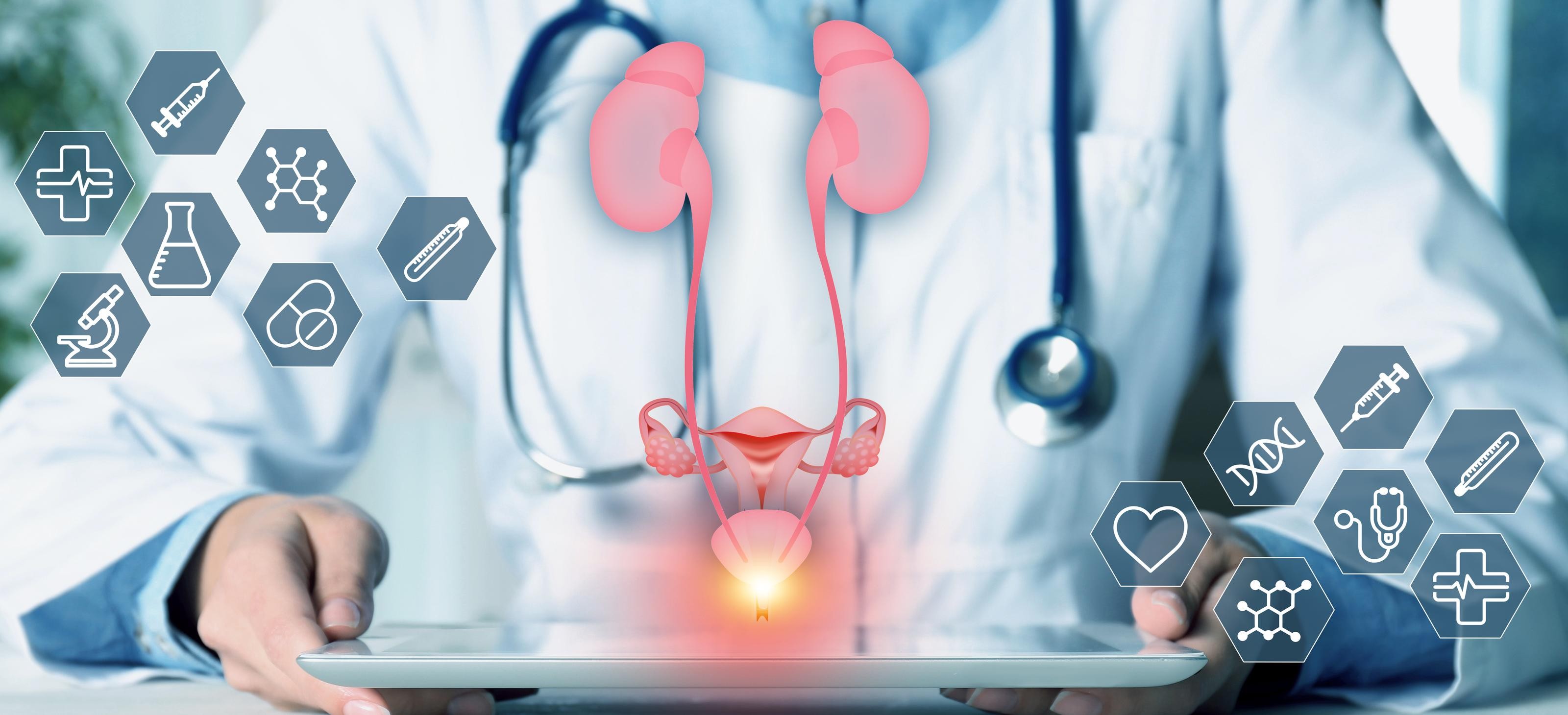 Guide to Choosing the Right Antibiotic for UTI and Preventing Recurrent Infections